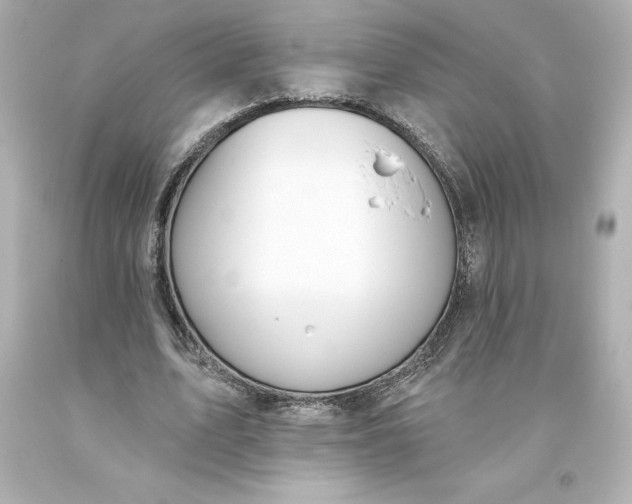 X0000093620583200710291228