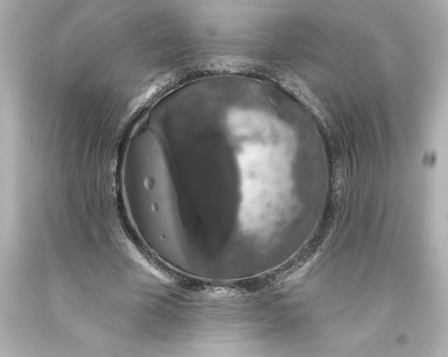 X0000093620585200710291228