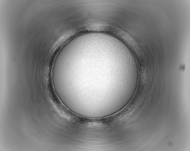 X0000093620586200710291228