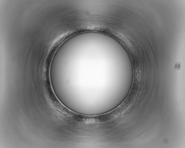 X0000093620587200710291228