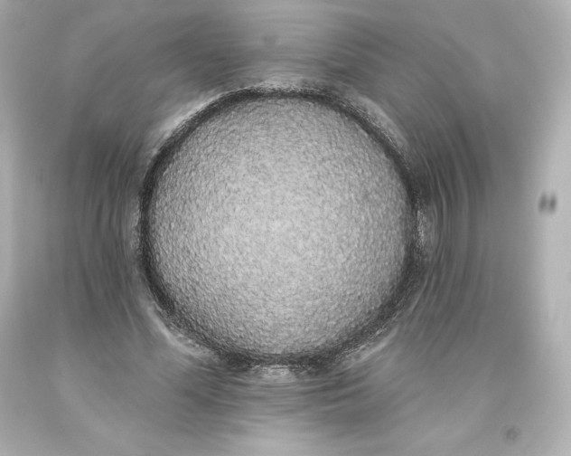 X0000093620588200710291228
