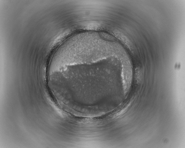 X0000093620589200710291228