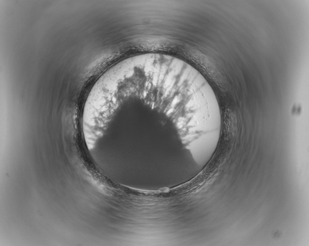 X0000093620590200710291228