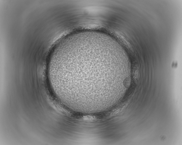 X0000093620591200710291228