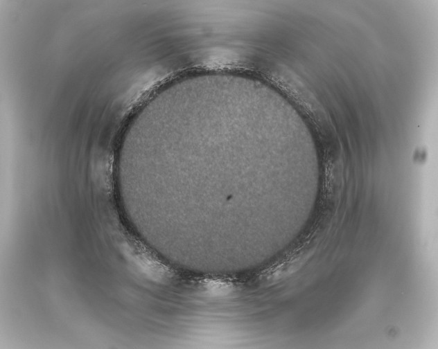 X0000093620592200710291228