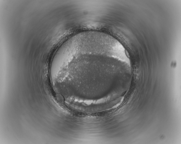 X0000093620593200710291228