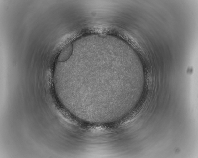 X0000093620594200710291228