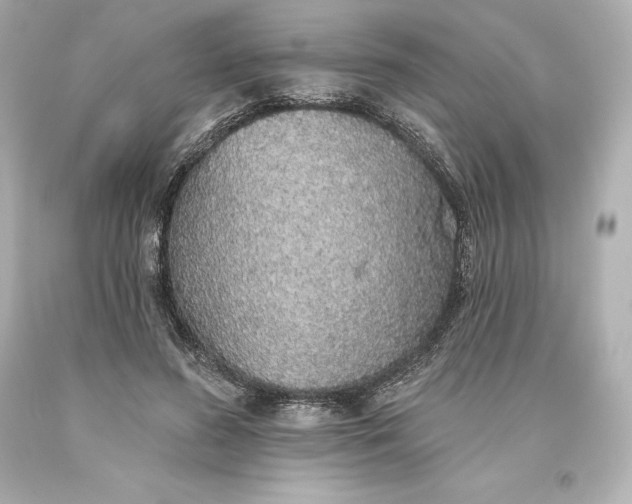 X0000093620596200710291228