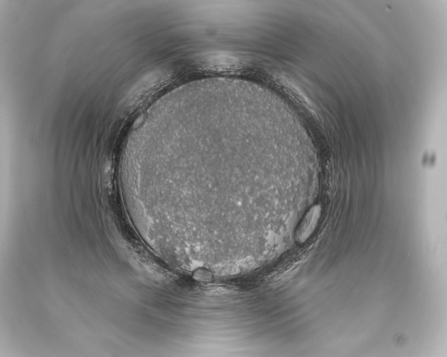 X0000093620597200710291228