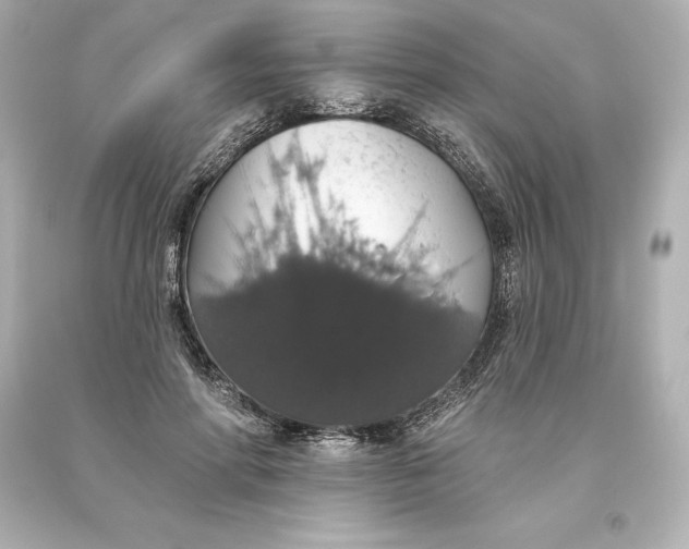 X0000093620598200710291228