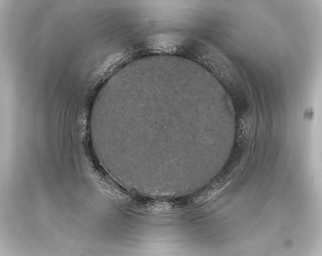X0000093620600200710291228