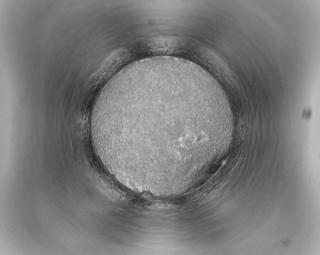 X0000093620601200710291228