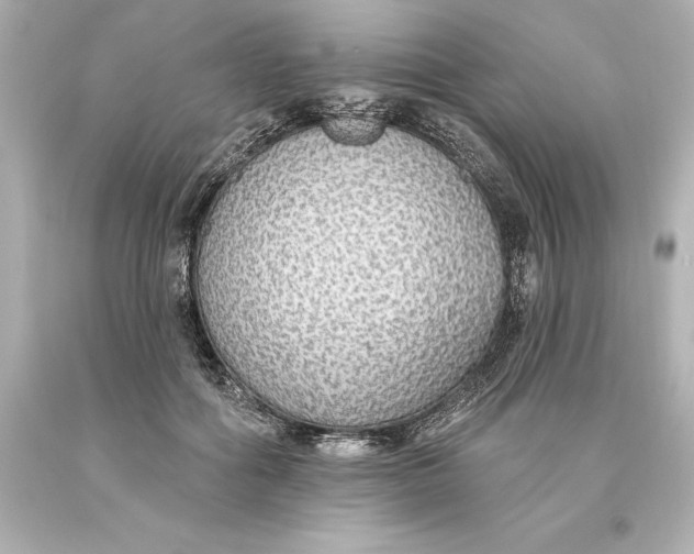 X0000093620602200710291228