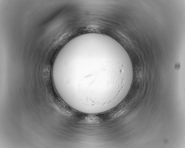 X0000093620603200710291228
