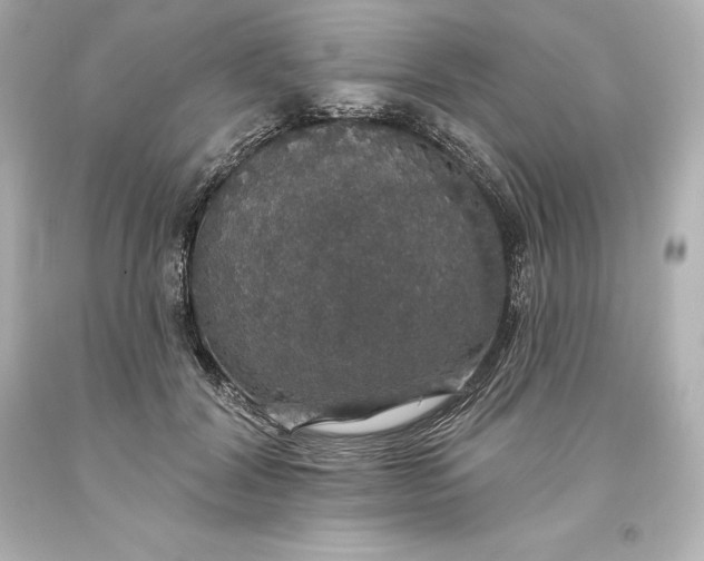 X0000093620604200710291228