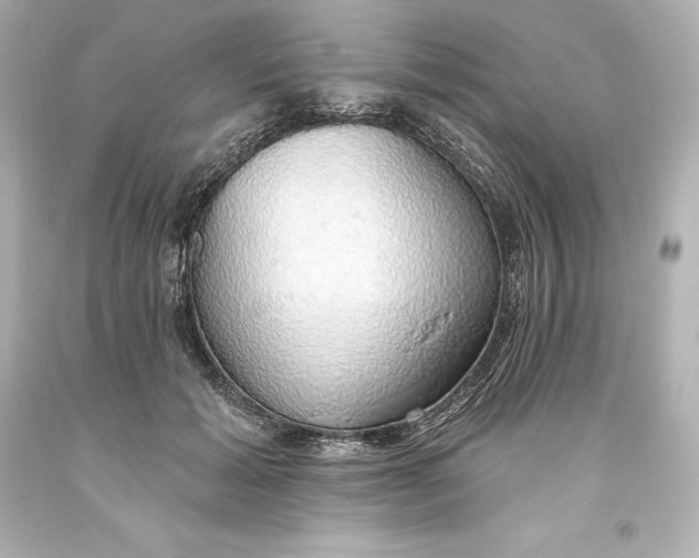 X0000093620605200710291228