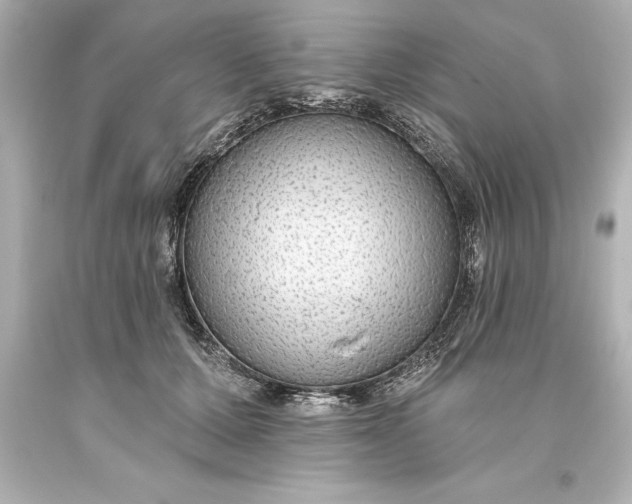 X0000093620607200710291227