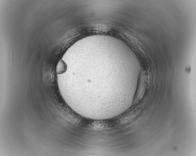 X0000093620608200710291227