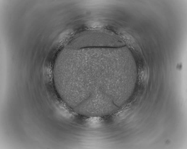 X0000093620609200710291227