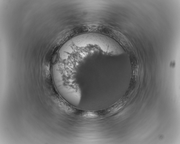 X0000093620610200710291227