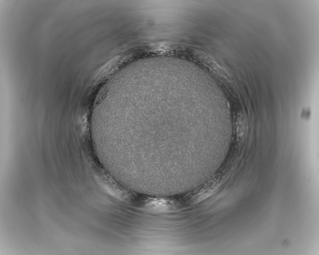 X0000093620611200710291227
