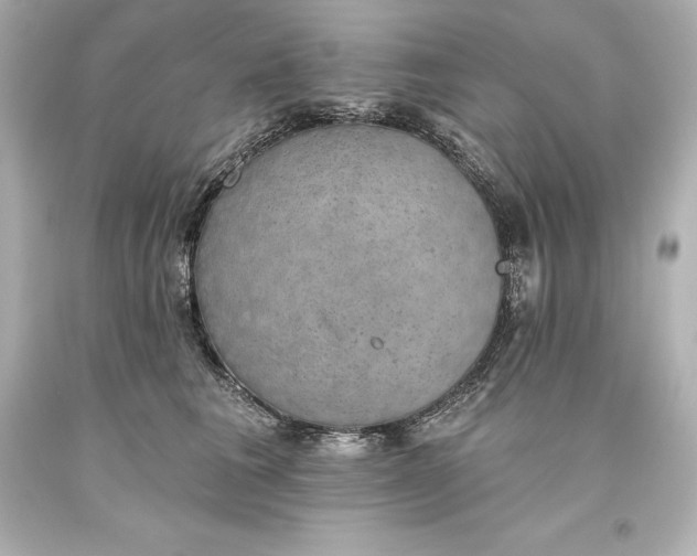 X0000093620613200710291227
