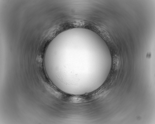 X0000093620614200710291227