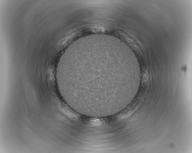 X0000093620616200710291227