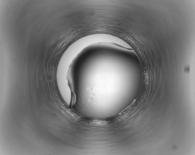 X0000093620617200710291227