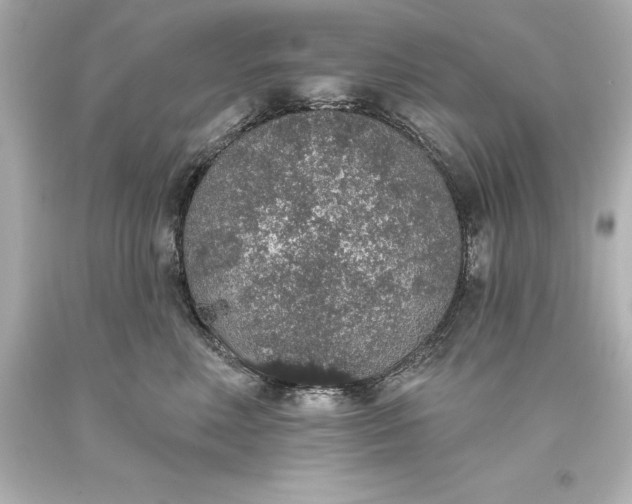 X0000093620618200710291227