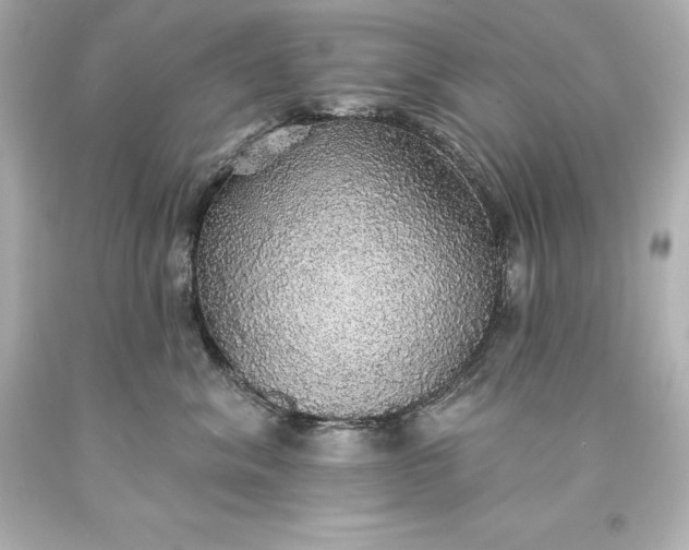 X0000093620620200710291227