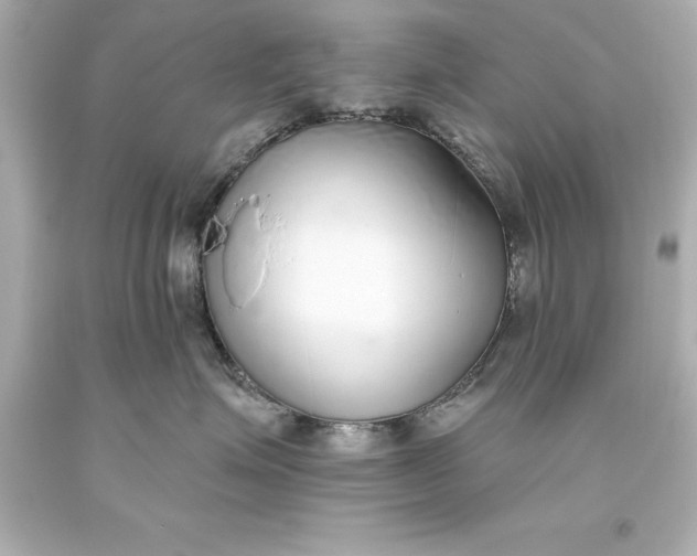 X0000093620623200710291227