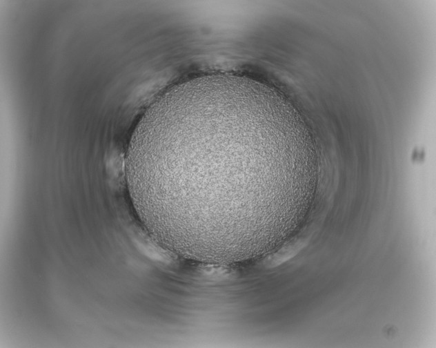 X0000093620624200710291227