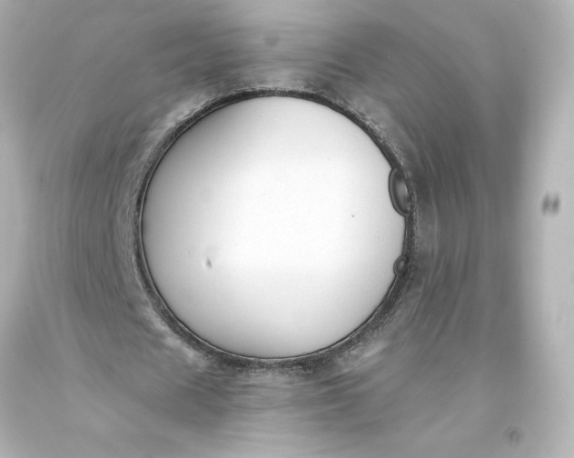 X0000093620625200710291227