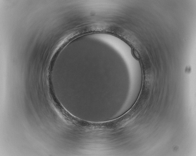 X0000093620626200710291227