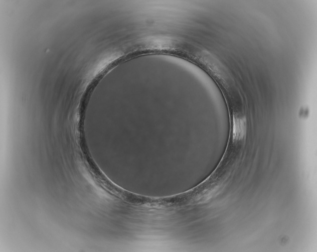 X0000093620627200710291227