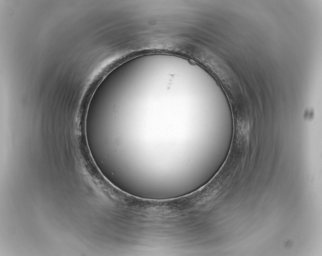 X0000093620628200710291227