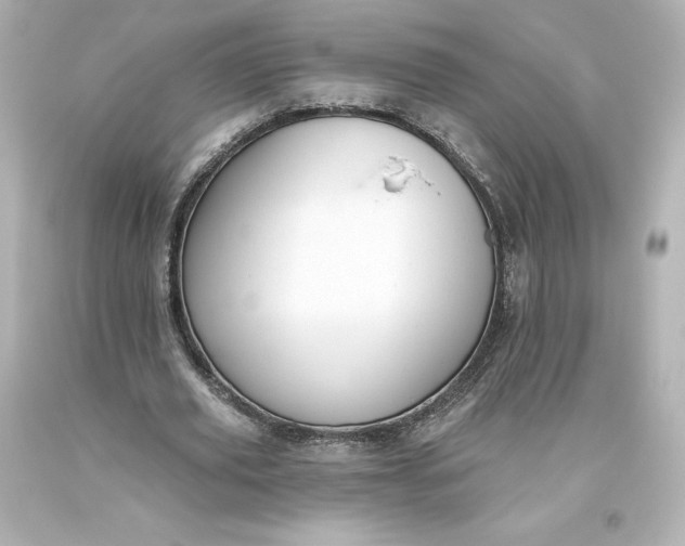 X0000093620629200710291227