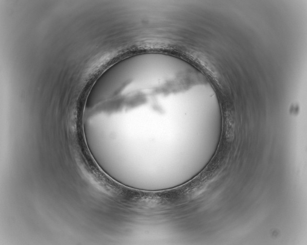X0000093620631200710291227