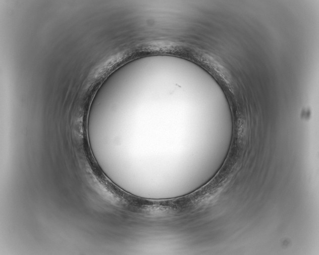 X0000093620633200710291227