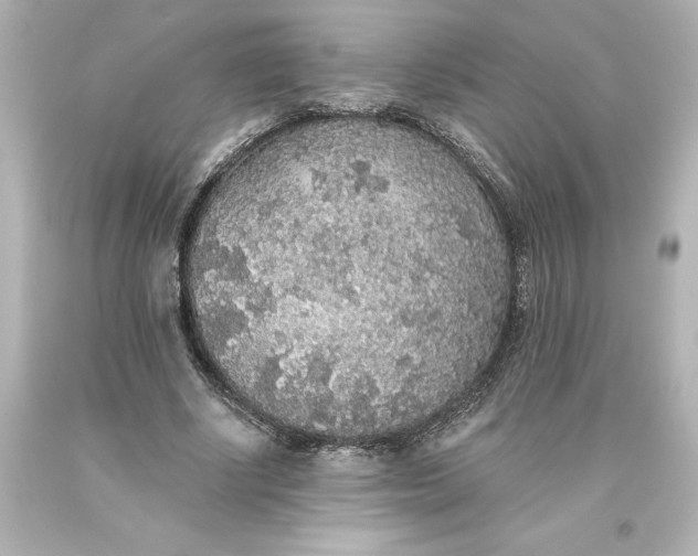 X0000093620634200710291227