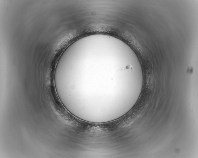 X0000093620635200710291227