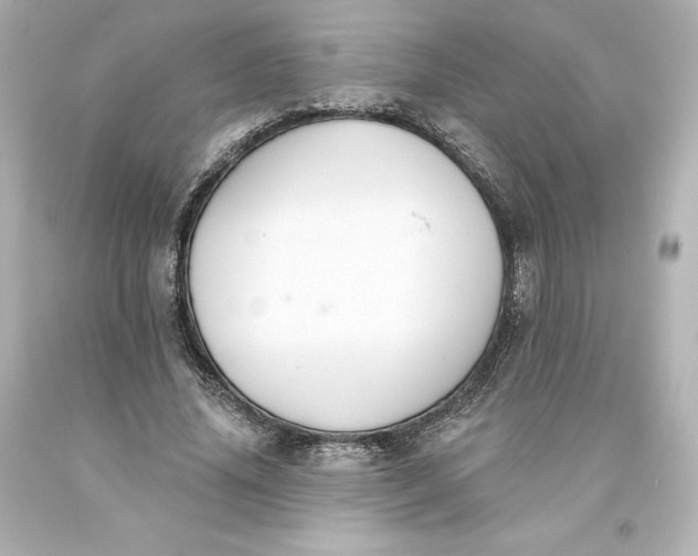 X0000093620636200710291227