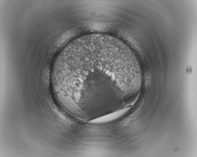 X0000093620637200710291227