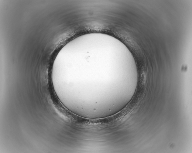 X0000093620638200710291227