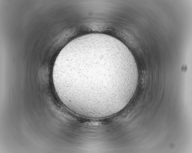 X0000093620639200710291227