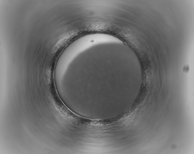 X0000093620640200710291227