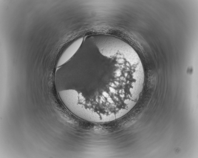 X0000093620641200710291227
