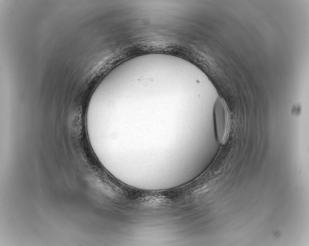 X0000093620642200710291227