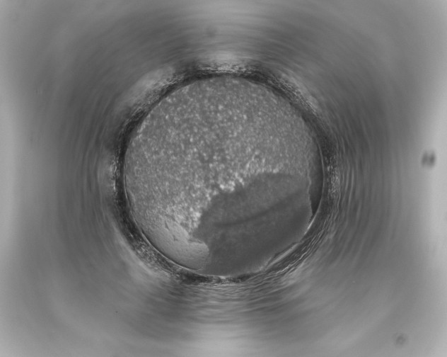 X0000093620643200710291227